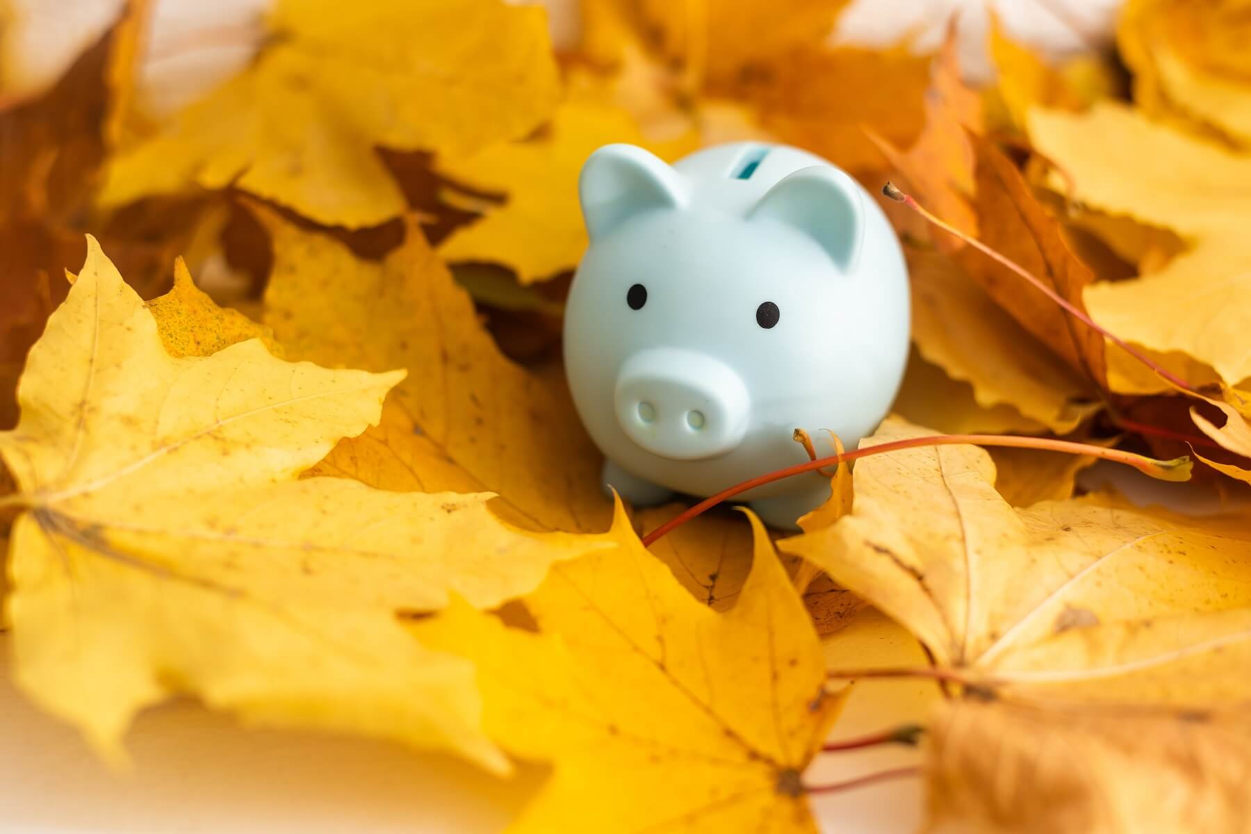 Corporate and Private Client eNews