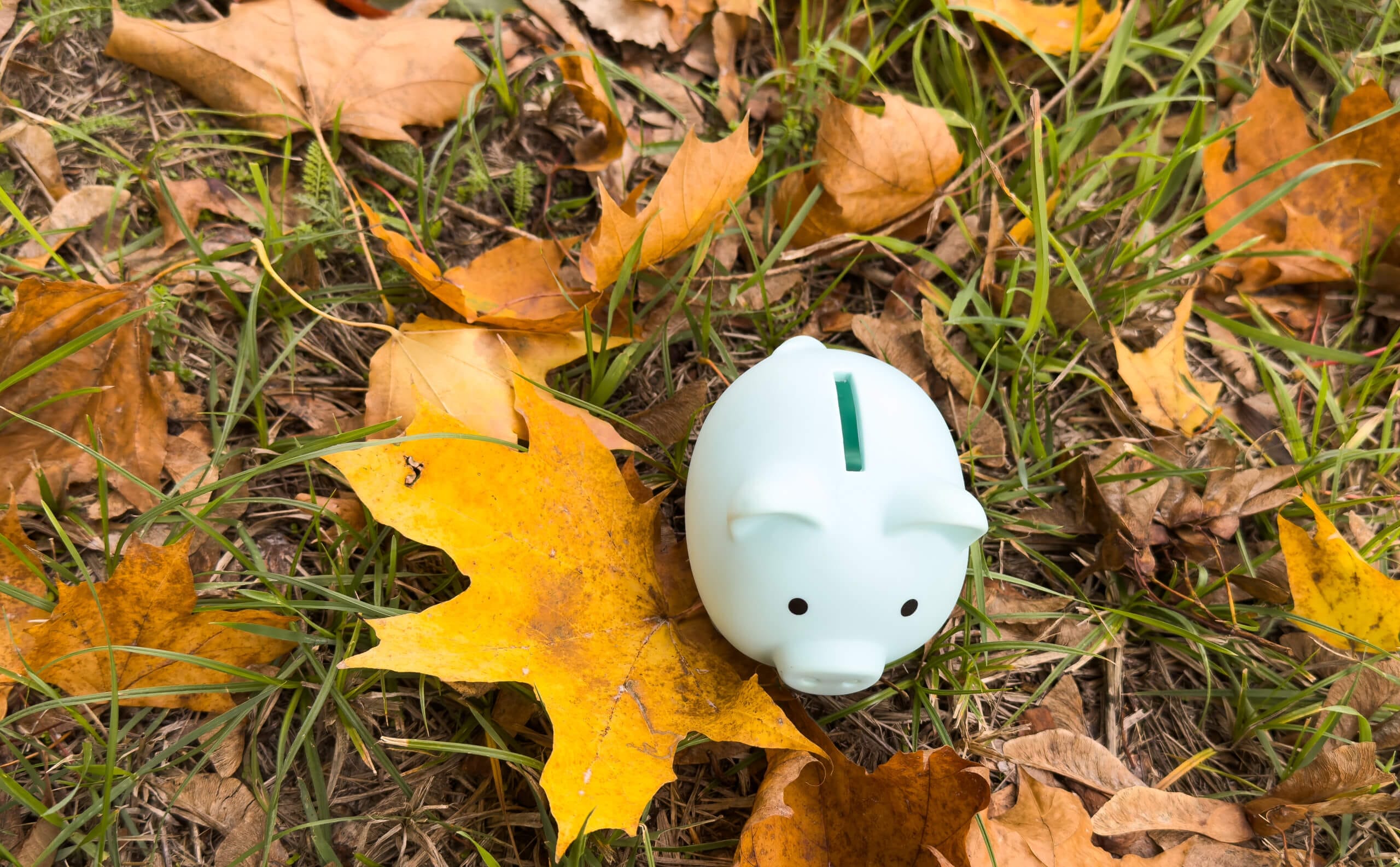 Pension salary sacrifice – Are changes coming?