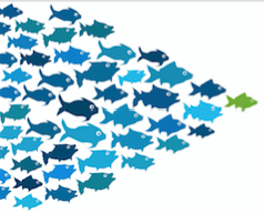 Green Square’s Summer Event – Ultimate value and how to thrive in the current market